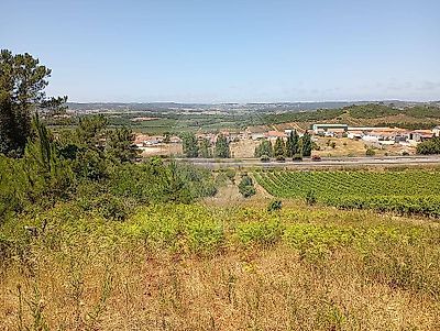 listing-picture-0