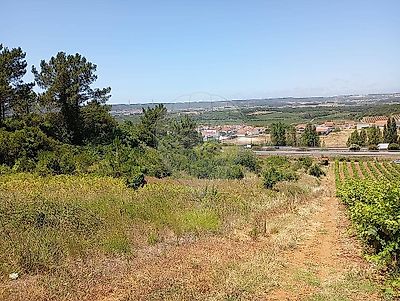 listing-picture-0
