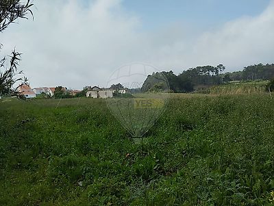listing-picture-0