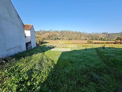 listing-picture-0