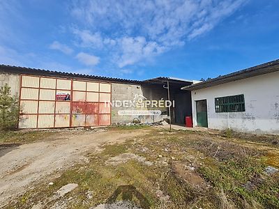 listing-picture-0