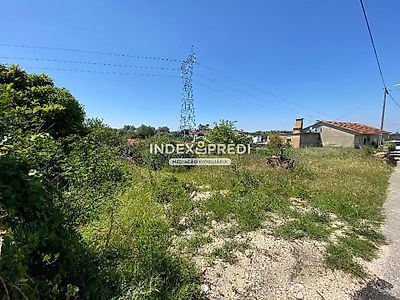 listing-picture-0