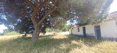 listing-picture-0