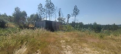 listing-picture-0