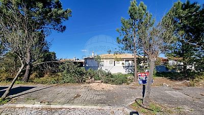 listing-picture-0