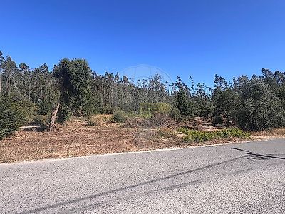 listing-picture-0