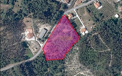 listing-picture-0