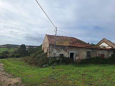 listing-picture-0