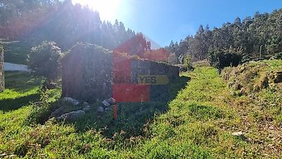 listing-picture-0