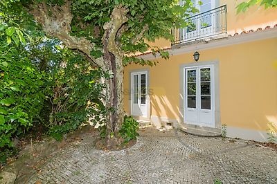 listing-picture-0