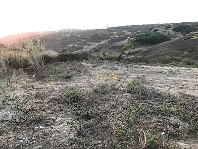 listing-picture-0