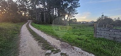 listing-picture-0