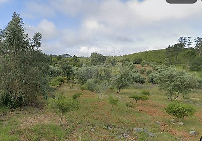listing-picture-0