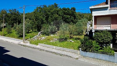 listing-picture-0