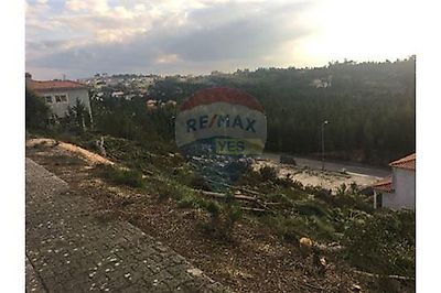 listing-picture-0