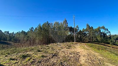 listing-picture-0