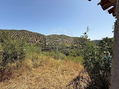 listing-picture-0