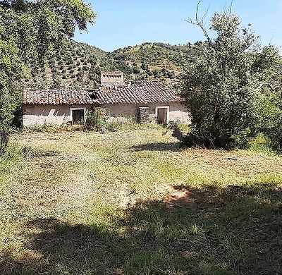 listing-picture-0