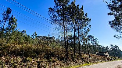 listing-picture-0