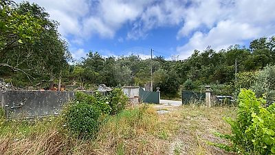 listing-picture-0