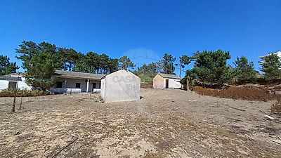 listing-picture-0