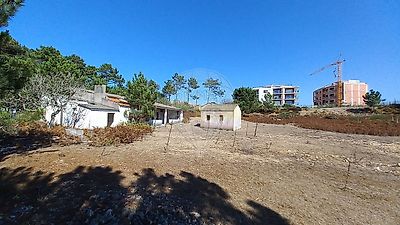 listing-picture-0