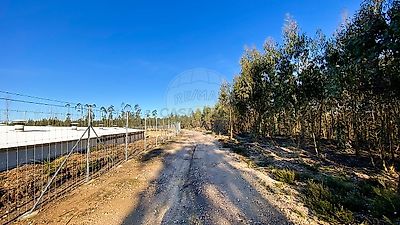 listing-picture-0