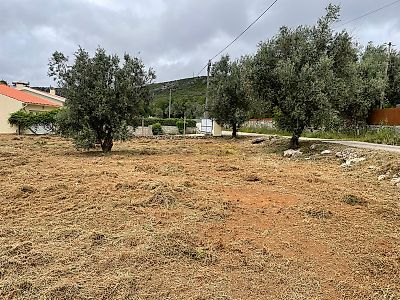 listing-picture-0