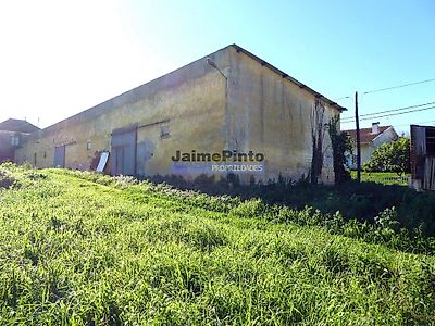 listing-picture-0