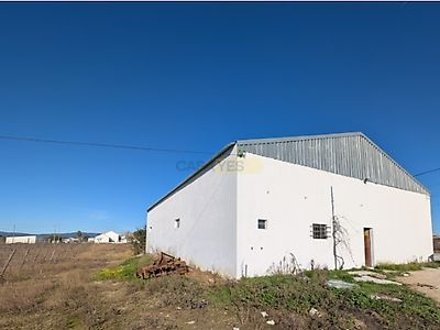 listing-picture-0