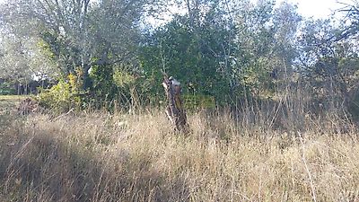 listing-picture-0