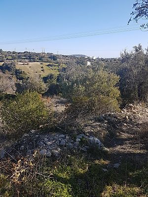 listing-picture-0