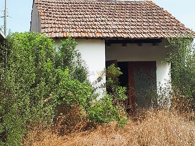 listing-picture-0