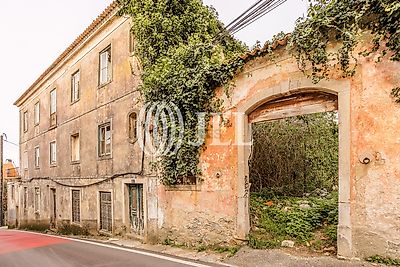 listing-picture-0