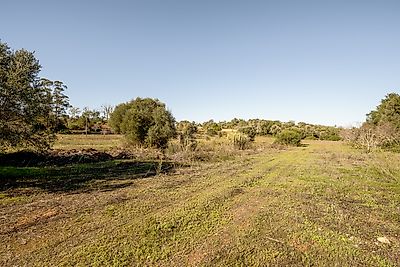 listing-picture-0