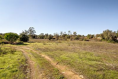 listing-picture-0