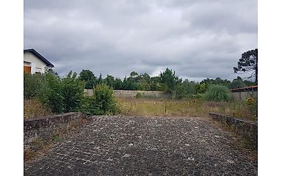 listing-picture-0
