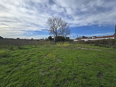 listing-picture-0