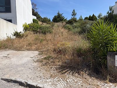 listing-picture-0
