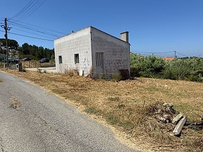 listing-picture-0