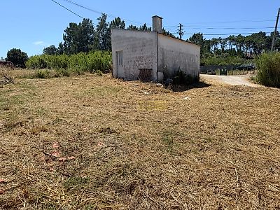 listing-picture-0