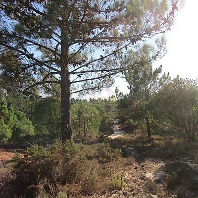listing-picture-0