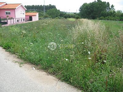 listing-picture-0