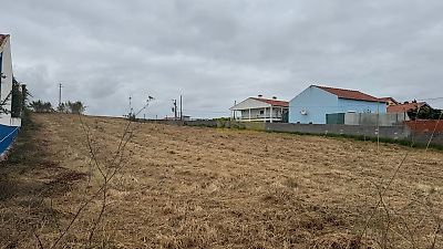 listing-picture-0