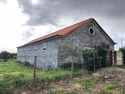 listing-picture-0
