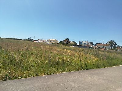 listing-picture-0