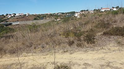 listing-picture-0