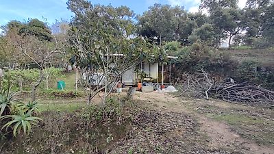listing-picture-0