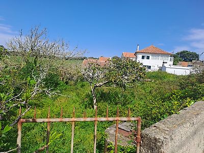 listing-picture-0