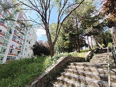 listing-picture-0